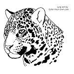 New Big Cat Coloring Pages - Jaguar | Coloring Pages Blog