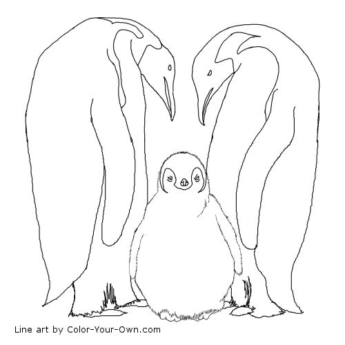 Emperor Penguins Line Art