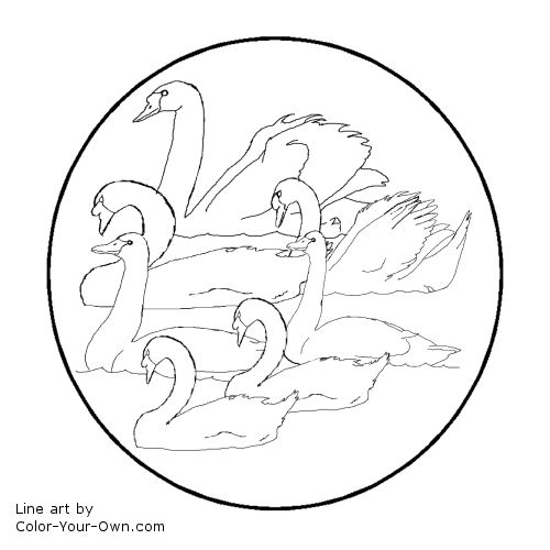 12 Days of Christmas - 7 Swans a Swimming Line Art