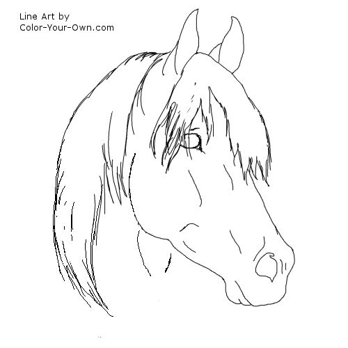 Arabian Stallion horse Line Art