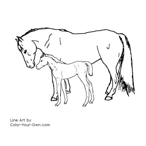 Arabian mare and foal line art