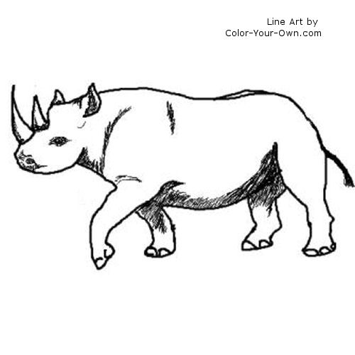 black rhinoceros line art