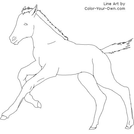 Cantering Foal Horse Line Art