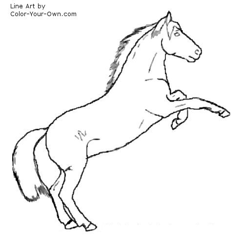 quarter horse coloring pages - photo #12