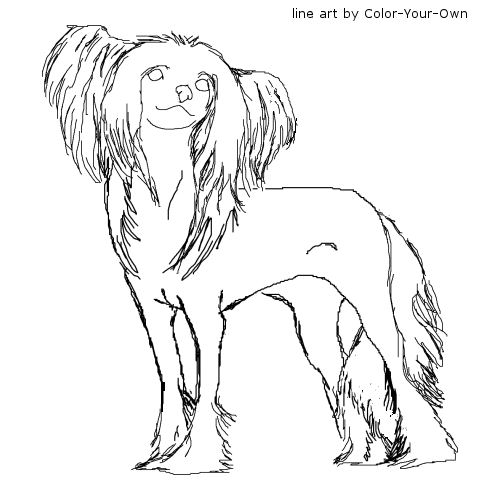 Chinese Crested Dog Line Art