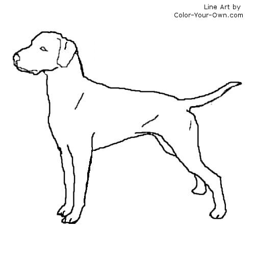 dalmatian dogs coloring pages - photo #19