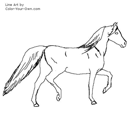 prancing Arabian mare line art