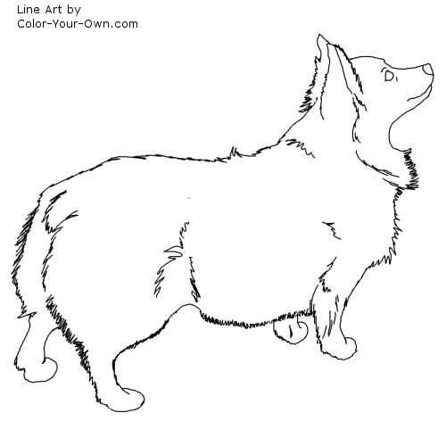 Fluffy Corgi Dog Line Art