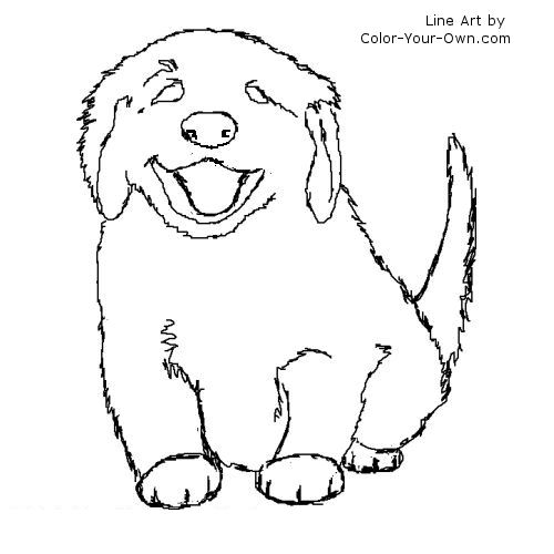 Golden Retriever Coloring Pages