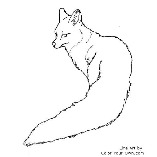 Grey Fox Coloring Page