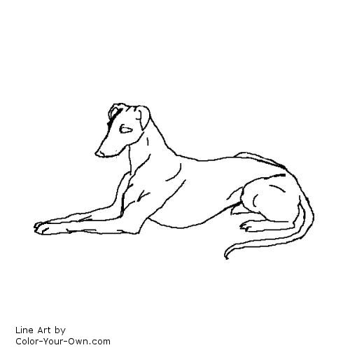 Greyhound dog line art