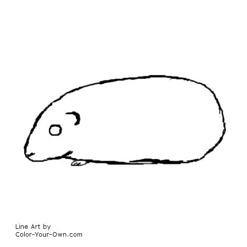 guinea pig line art