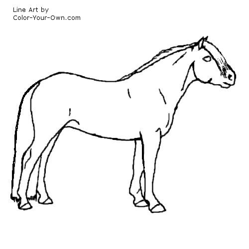 Haflinger pony line art