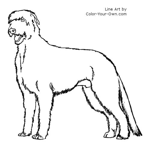 Standing Irish Wolfhound Dog Line Art