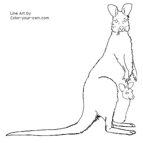 Kangaroo with Joey Coloring Page
