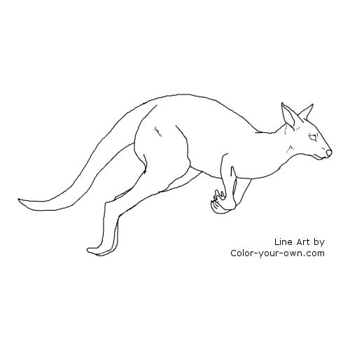 Leaping Kangaroo Coloring Page