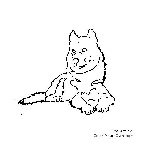 malamute dog line art