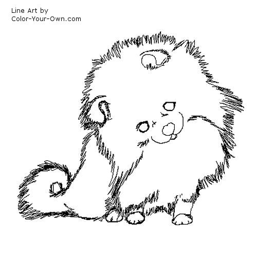 Pomeranian Puppy Line Art