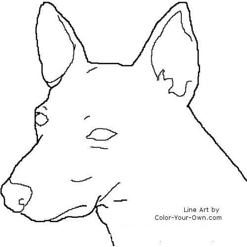 rat terrier headstudy line art