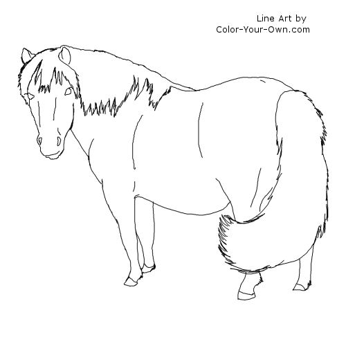 Shetland Pony Mare line art