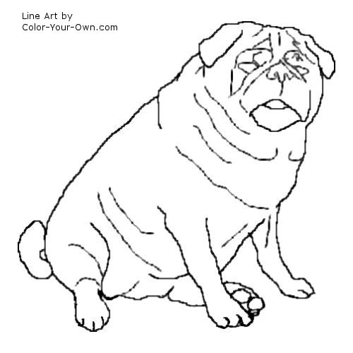 sitting Pug dog line art