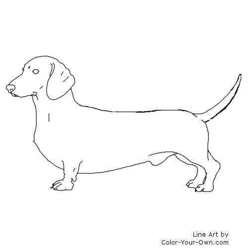 daschund coloring pages for kids - photo #1