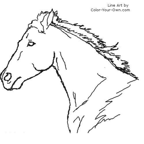 horse head coloring