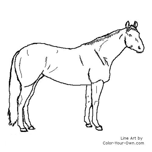 quarter horse coloring pages - photo #2