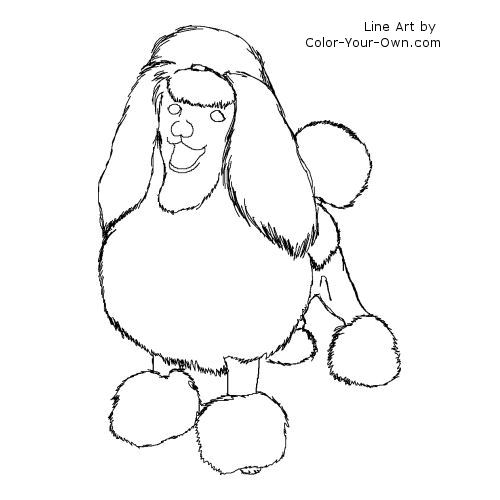 Toy or Miniature Poodle Dog in Show Cut Line Art