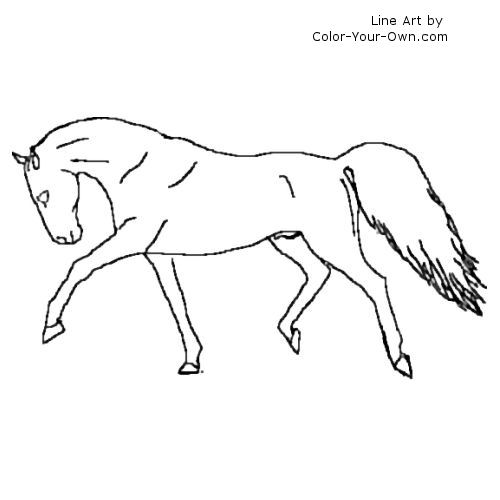 Warmblood Stallion Prancing Line Art