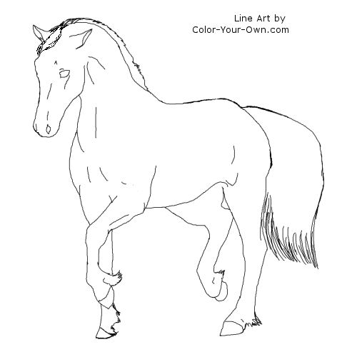 Welsh Cob Pony line art