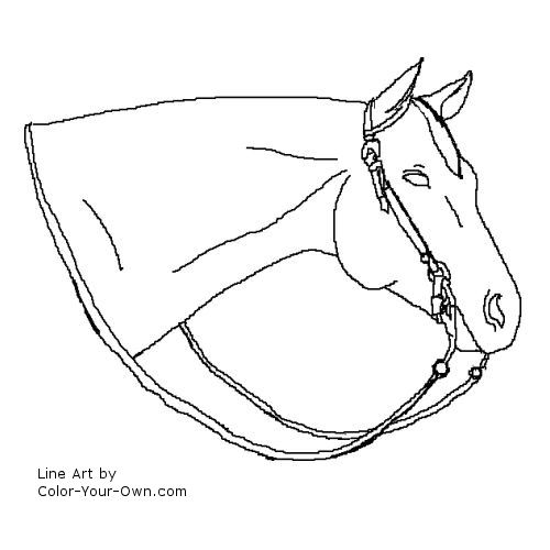Western Pleasure Horse Headstudy Coloring Page