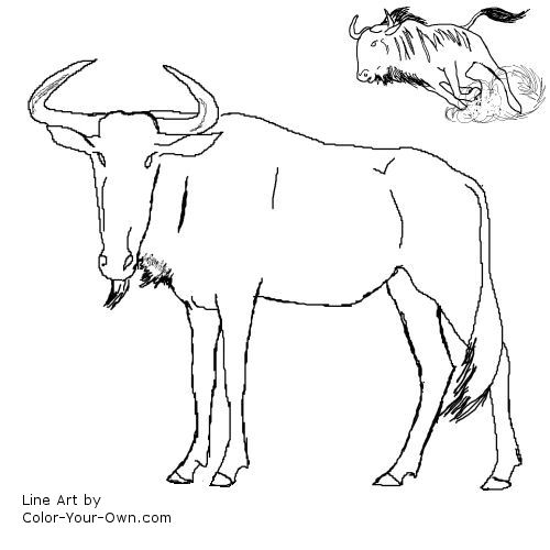 safari people coloring pages - photo #12