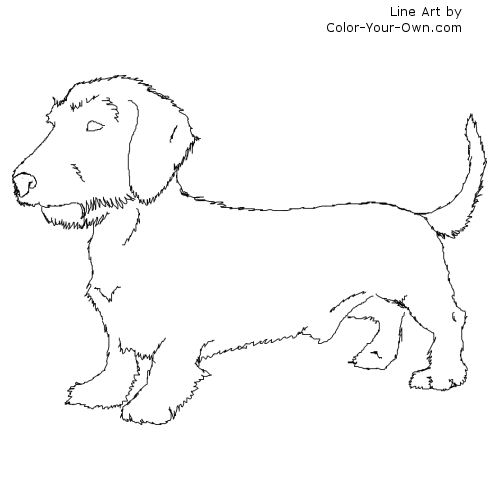 dachshund puppies coloring pages - photo #25