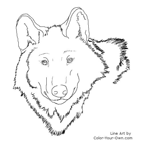Wolf Headstudy Line Art