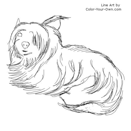 Yorkshire terrier dog relaxing at home line art