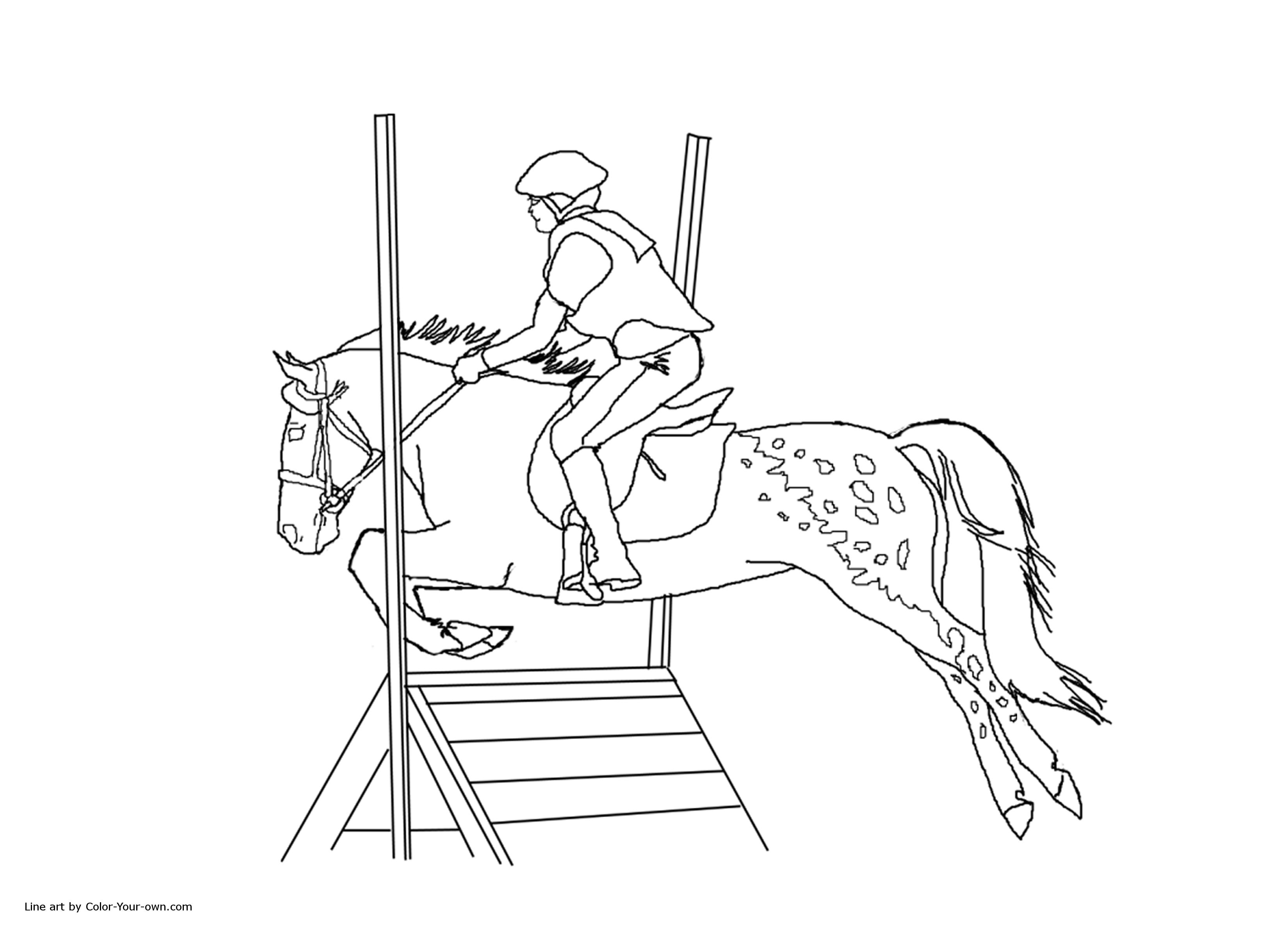 Jumping Horse Coloring Pictures
