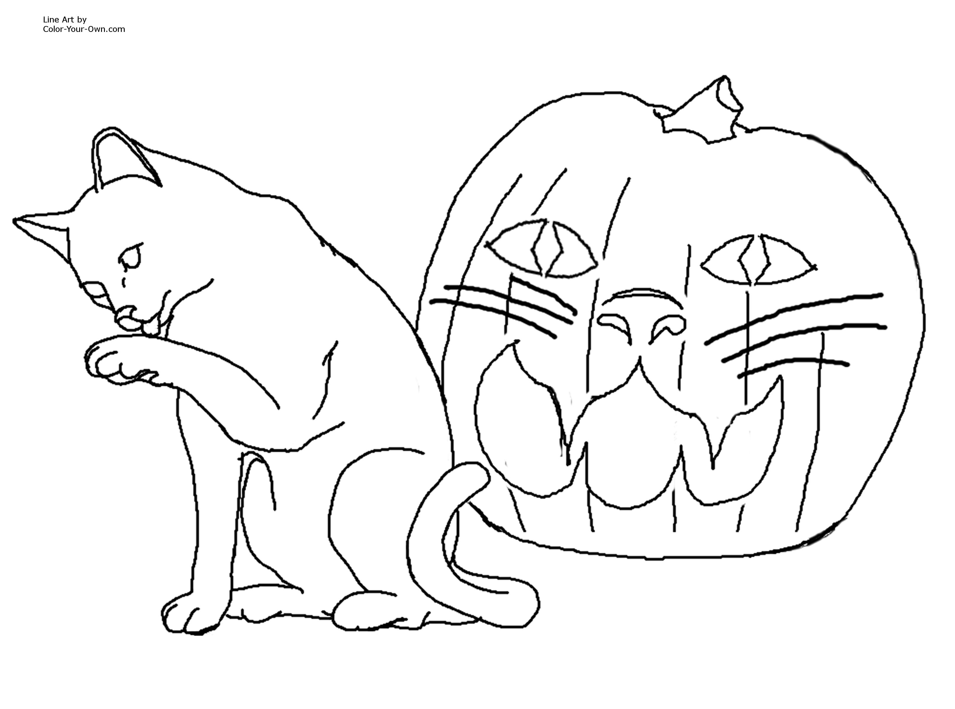 Halloween Cat JackOLantern Coloring Page