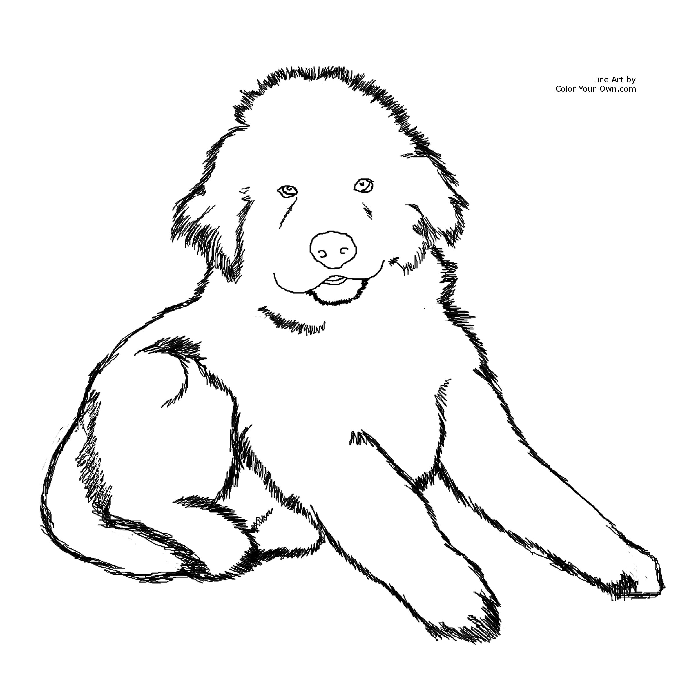 Fluffy Baby Puppies Coloring Pages Coloring Pages