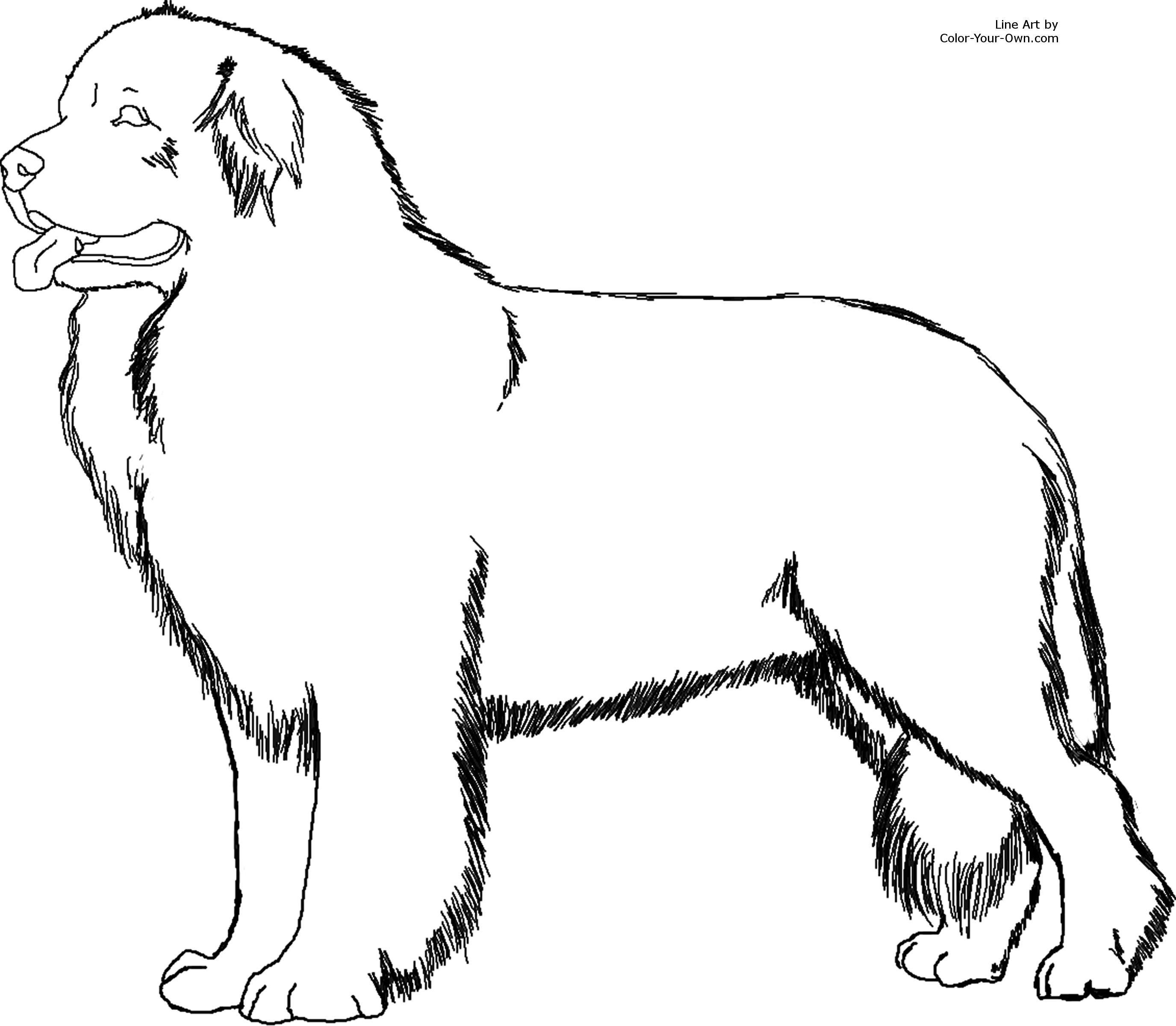 a dog coloring pages - photo #32