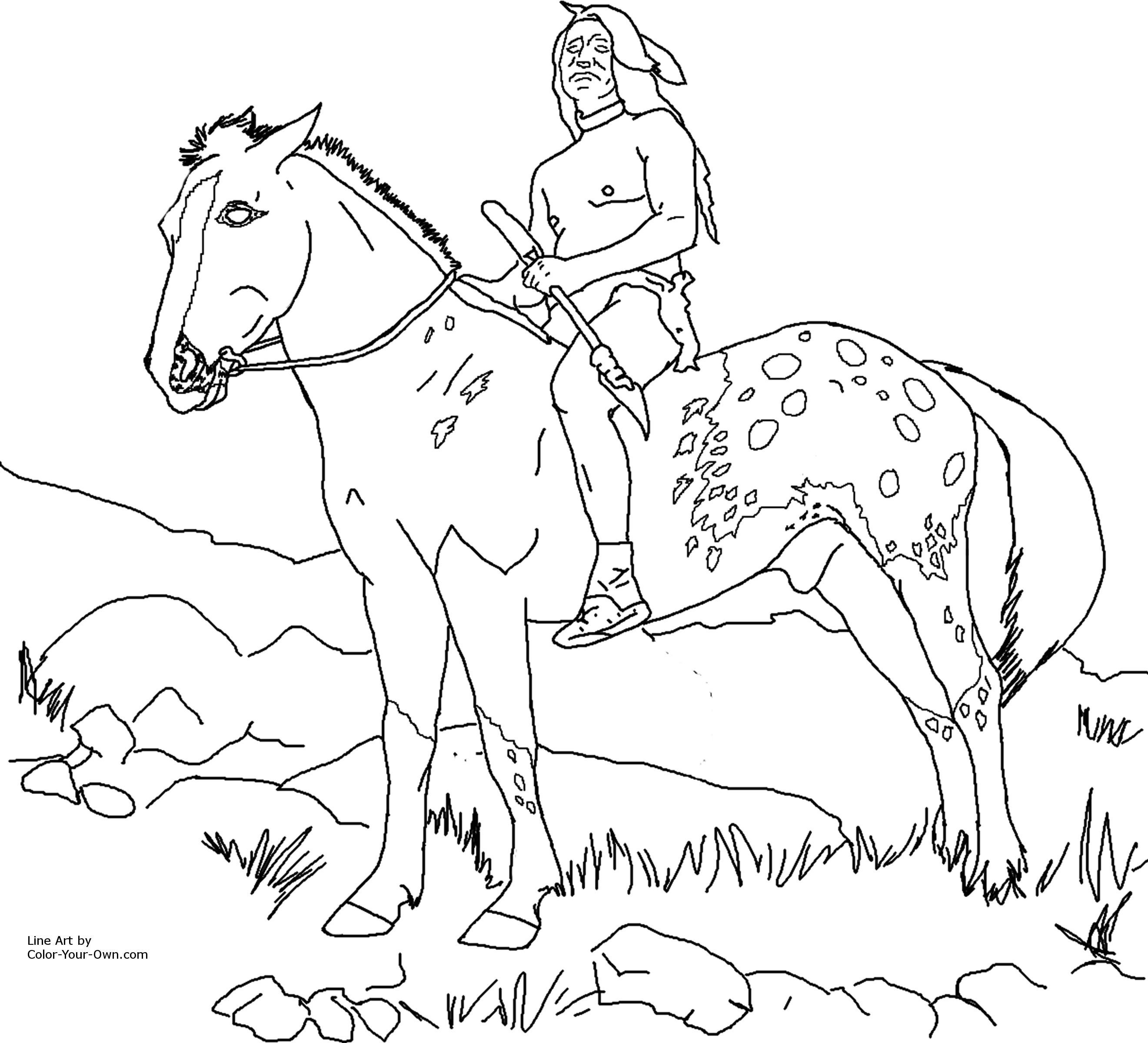 Horse to Color for Kids Black and White to Color Funny Hd Wallpapepr Pics