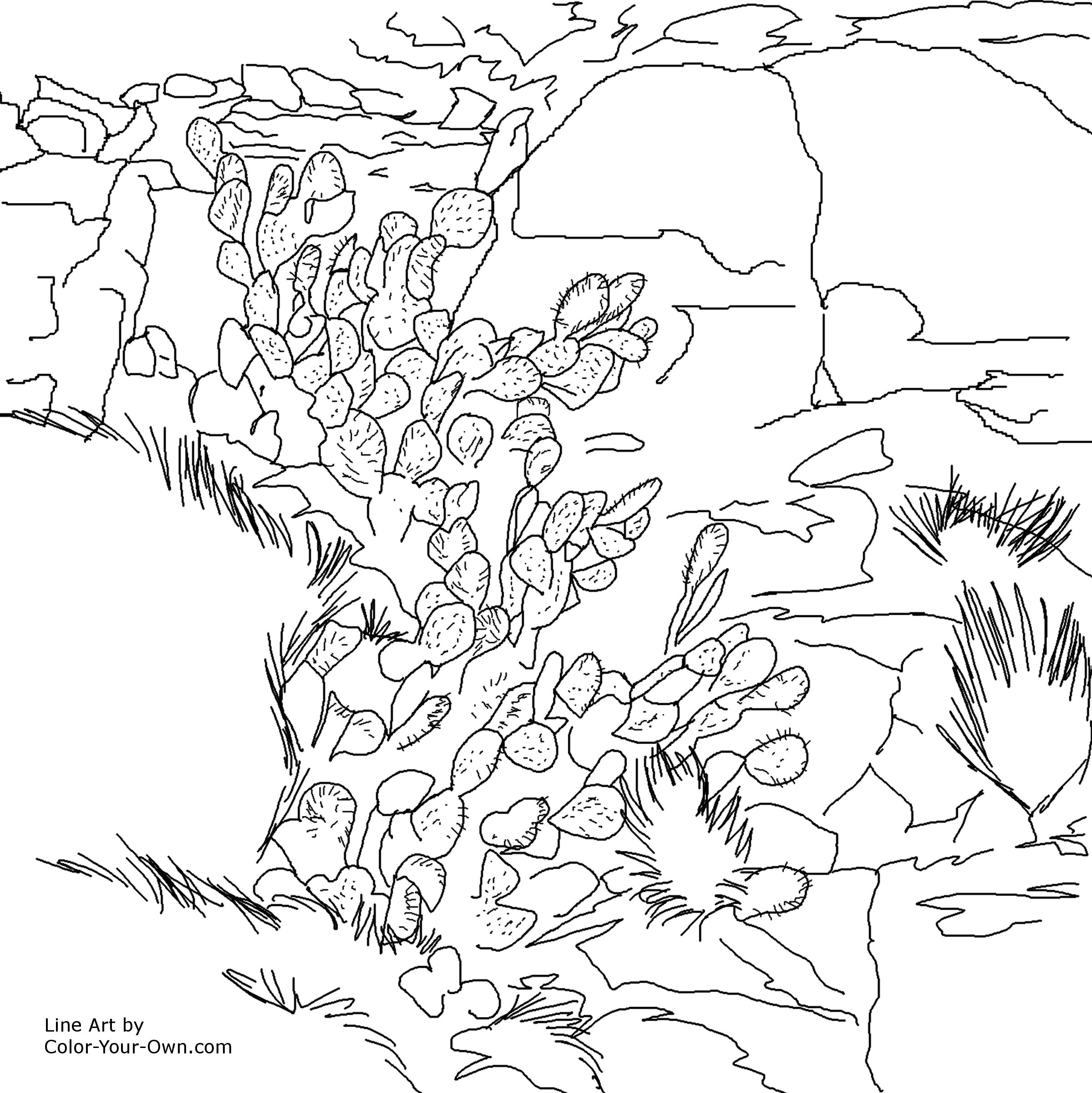 igneous rock coloring pages - photo #8