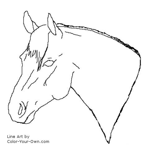 quarter horse head coloring page