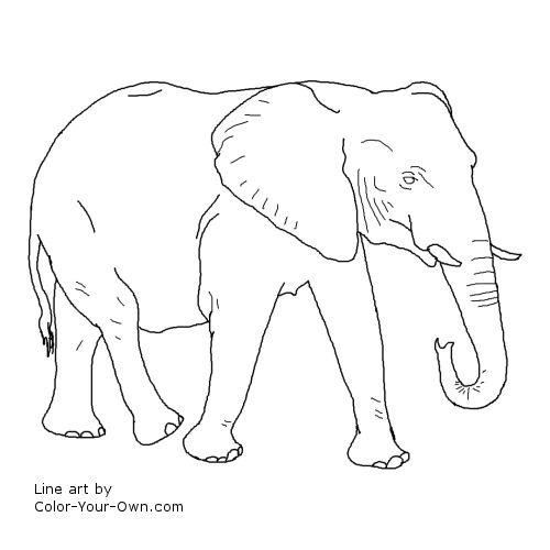 Printable Walking Elephant Coloring Page 4