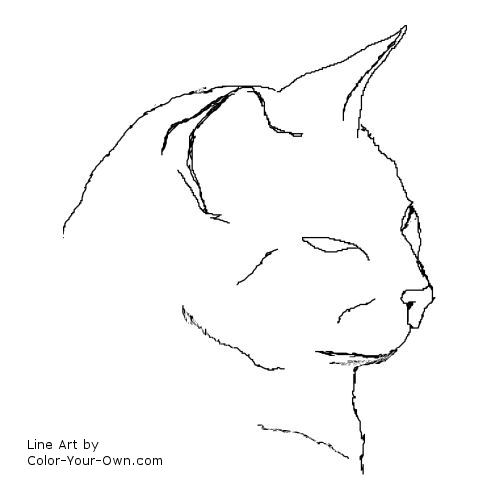 Siamese Cat Headstudy Coloring Page