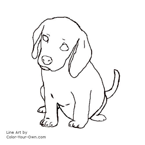 Beagle Puppy Coloring Page