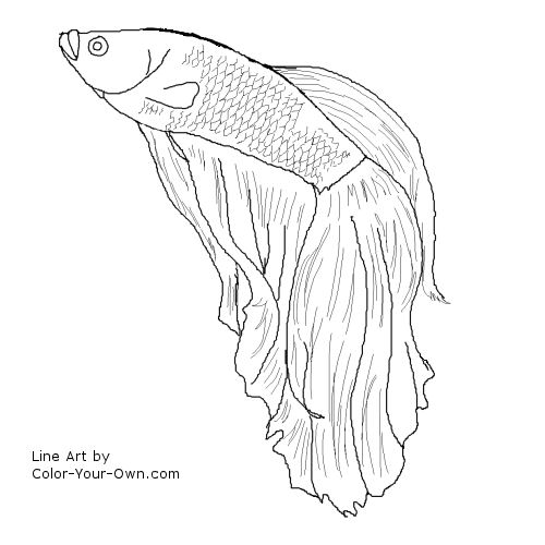 Gambar Betta Fish Coloring Page Line Drawing Pages Free di Rebanas ...