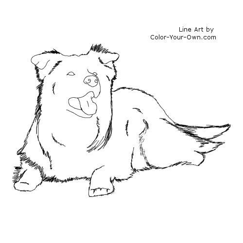 border-collie-coloring-pages-to-print-wallpapers-hd-references