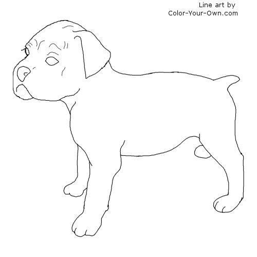 Download Boxer Puppy Coloring Page