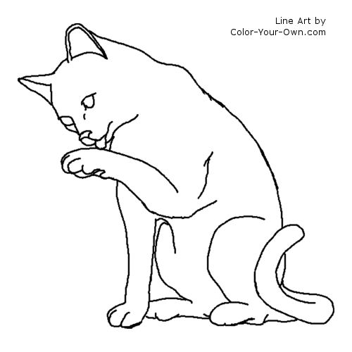 Cat Line Art